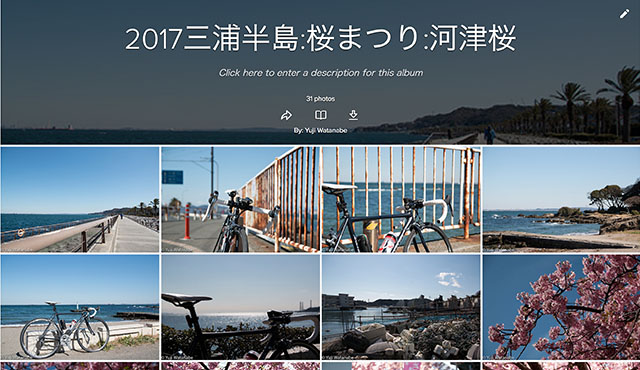 三浦半島桜まつりフォトギャラリー記事のアイキャッチ