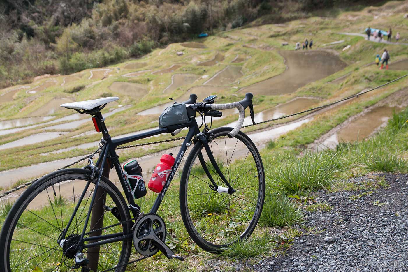 ロードバイクと大山千枚田