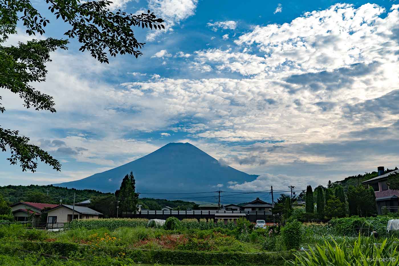 夏の雲と富士山
