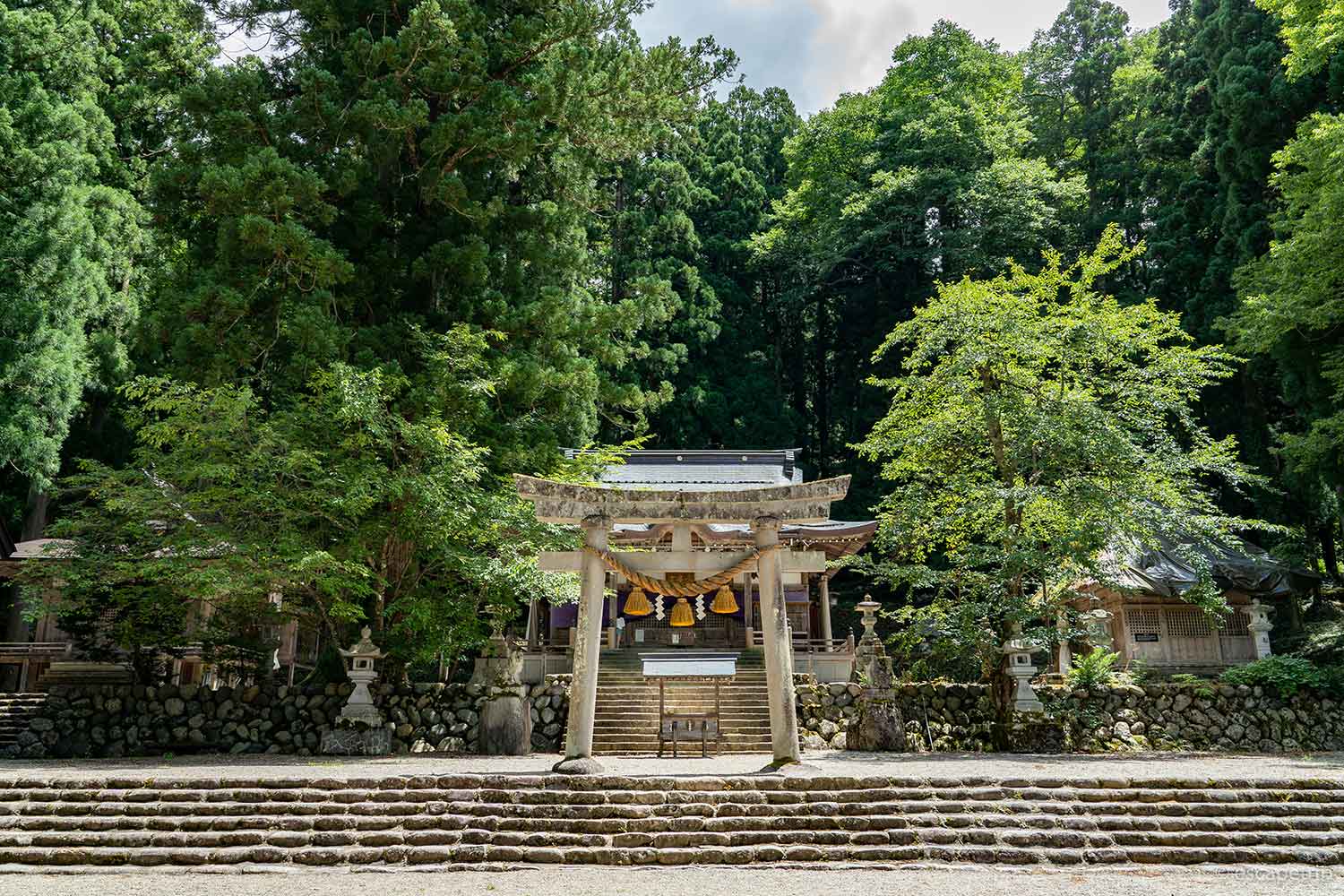 夏の白川八幡神社
