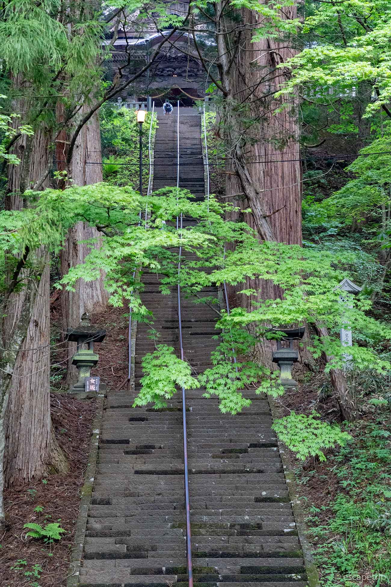 戸隠神社宝光社の階段