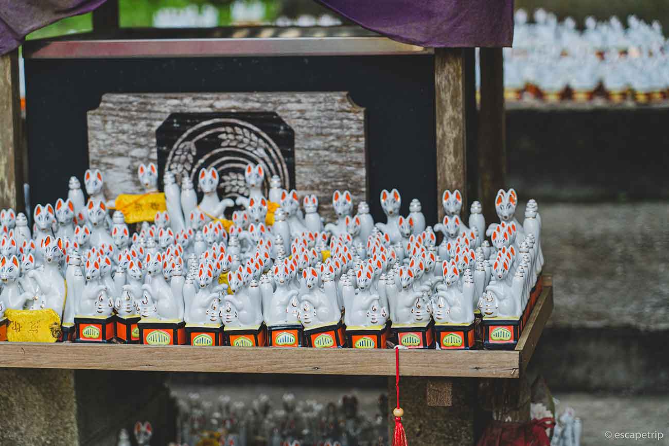 佐助稲荷神社の白狐