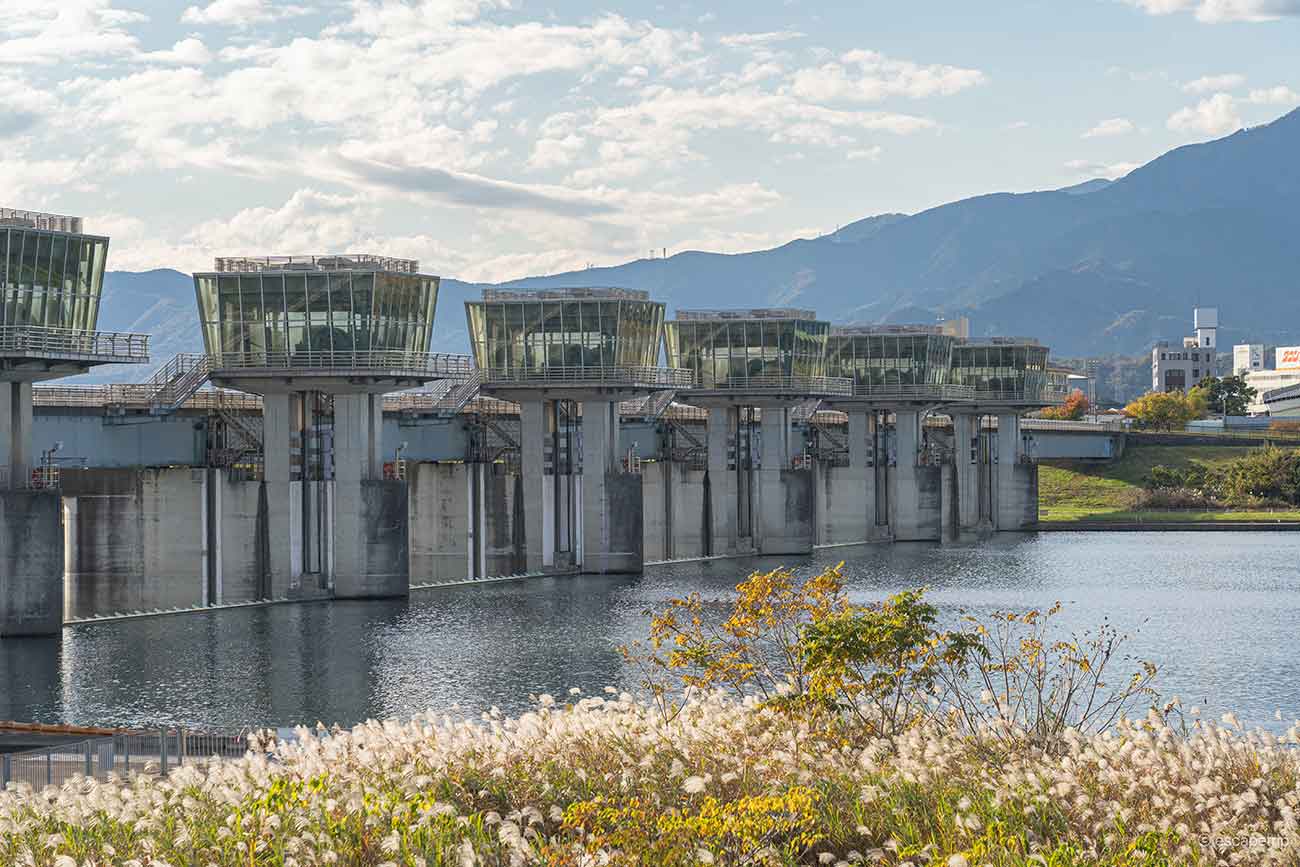 相模川の風景