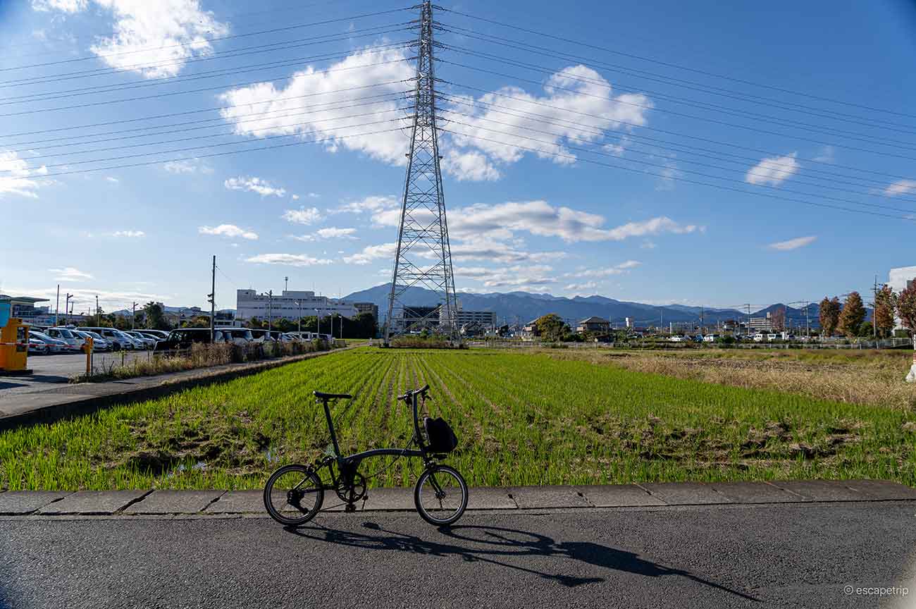 海老名の田園風景