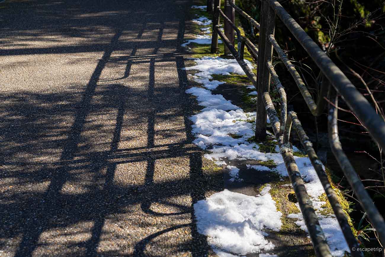 三千院の参道