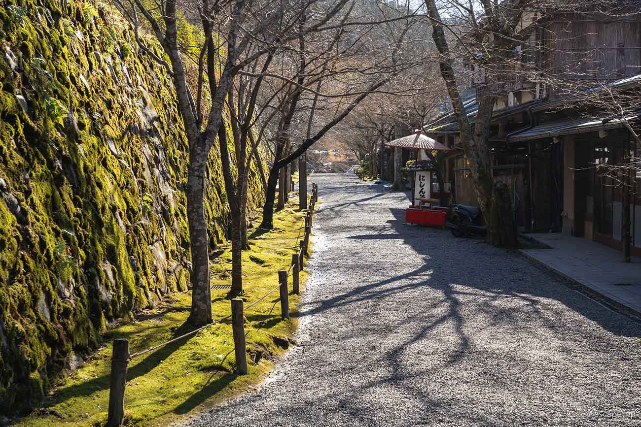 三千院の参道